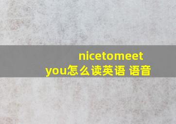 nicetomeetyou怎么读英语 语音